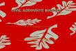 Civil Accounts Manual