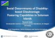 Social Determinants of Disability- based Disadvantage: Fostering 