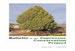 Bulletin Cupressus Conservation Project