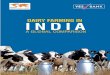 Dairy Farming in India: A Global Comparison