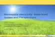 Renewable electricity: State-level Issues and Perspectives