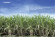 The Indian Sugar Industry - Sector Roadmap 2017