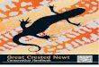 Great Crested Newt Conservation Handbook
