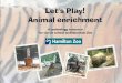 Hamilton Zoo – Animal Enrichment Page 1 of 10