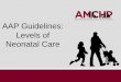 AAP Guidelines: Levels of Neonatal Care
