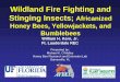 Wildland Fire Fighting and Stinging Insects; Africanized Honey Bees