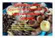 Mushrooms and Organic Mushrooms: A Specialty Within A Specialty
