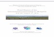 Final Report of the International Internship in Mongolia