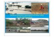 District Disaster Management Plan, South 24 Parganas 2012 1