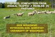Soil Compaction in Pastures from Animal Traffic