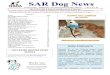 SAR Dog News