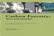 Carbon forestry: who will benefit?: proceedings of Workshop on 