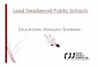 Lead Deadwood Ed Ad Summary Presentation - Oct 2016