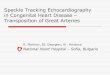 Speckle Tracking Echocardiography in Congenital Heart Disease 