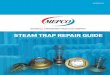Steam Trap Cross Reference Repair Guide