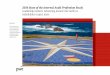 2016 State of the Internal Audit Profession Report