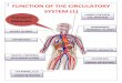 FUNCTION OF THE CIRCULATORY SYSTEM (1)