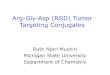 RGD Tumor Targeting Conjugates