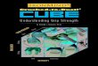 Download CTD Cube booklet here