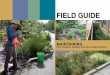 Field Guide: Maintaining Rain Gardens, Swales