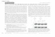 Direct Sensing of 5-Methylcytosine by Polymerase Chain Reaction.pdf