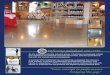 Deﬁning polished concrete