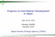 Progress on Fast Reactor Development in Japan