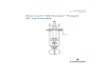 Rosemount 585 Annubar® Flanged Flo-Tap Assembly English .PDF 