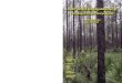 Slash Pine: Still Growing and Growing! Proceedings of the Slash