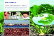 The BioBased Delta - Where agro meets chemistry