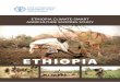 Ethiopia Climate-Smart Agriculture Scoping Study