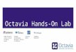 Octavia Hands-On Lab