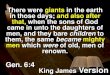 Book of Jasher, 36:30-35