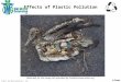 OMG Effects of Plastic Pollution Lesson Plan - Power Point