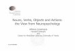 Nouns, Verbs, Objects and Actions: the View from Neuropsychology
