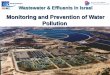 Wastewater & Effluents in Israel: Monitoring and Prevention of Water 
