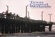 Texas Coastal Wetlands: Status and Trends, mid-1950's to early 