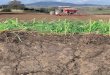 A Guide to Better Soil Structure