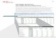 S&P Capital IQ's Excel® Plug-In Brochure
