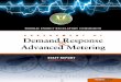 Report to Congress: Demand Response & Advanced Metering