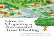 How to Organize a Successful Tree Planting