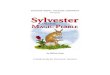 Sylvester Study Guide