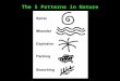 Five Patterns in Nature.ppt