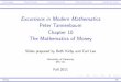 Excursions in Modern Mathematics Peter Tannenbaum Chapter 10 
