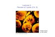 Lecture 4: Review of Lipids (Ch. 9)
