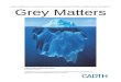 Grey Matters: a practical tool for evidence-based searching