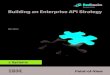 Building an Enterprise API Strategy