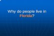 Why do people live in Florida? - Florida Building