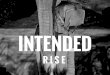 Intended Rise