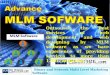 MLM Software in India